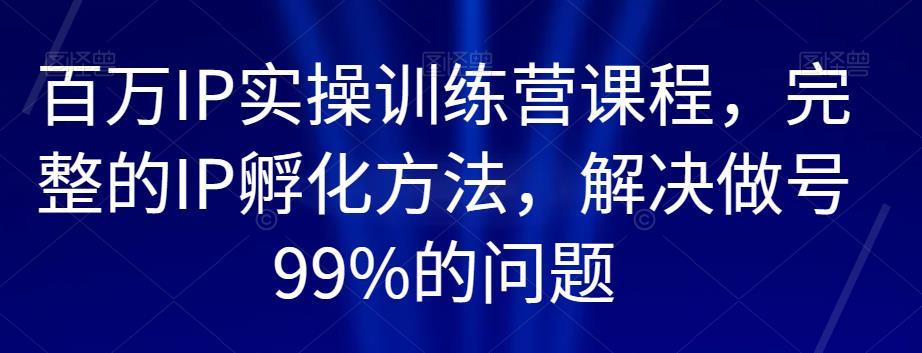 百万IP实操训练营课程，完整的IP孵化方法，解决做号99%的问题-久久资源库