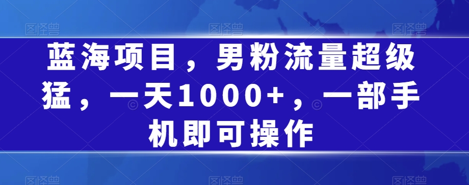 蓝海项目，男粉流量超级猛，一天1000+，一部手机即可操作【揭秘】-久久资源库