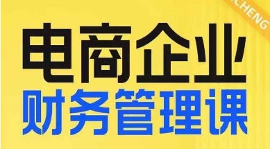电商企业财务管理线上课，为电商企业规划财税-久久资源库