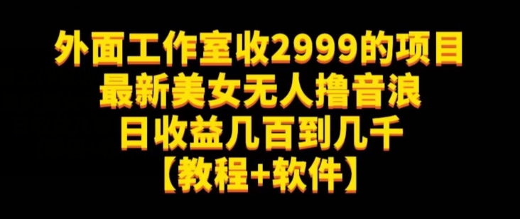 外面工作室收2999的项目最新美女无人撸音浪日收益几百到几千【教程+软件】（仅揭秘）-久久资源库