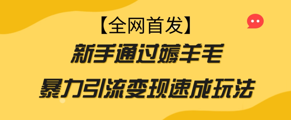 【全网首发】新手通过薅羊毛暴力引流变现速成玩法-久久资源库