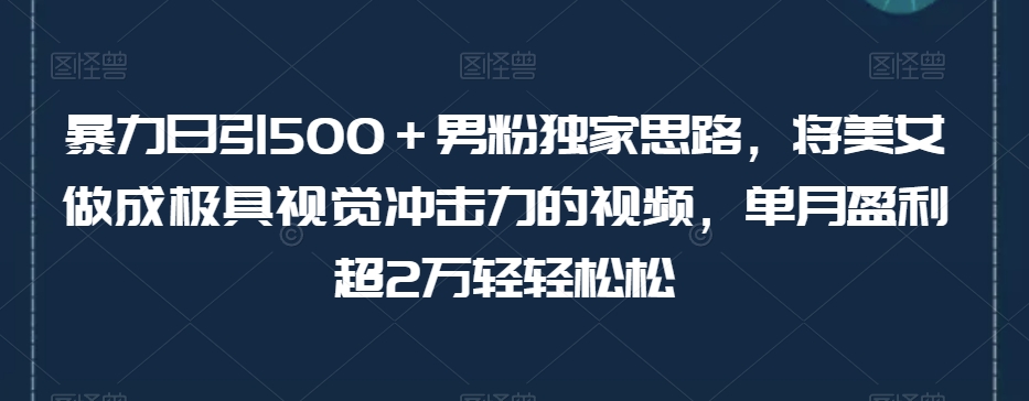 暴力日引500＋男粉独家思路，将美女做成极具视觉冲击力的视频，单月盈利超2万轻轻松松-久久资源库