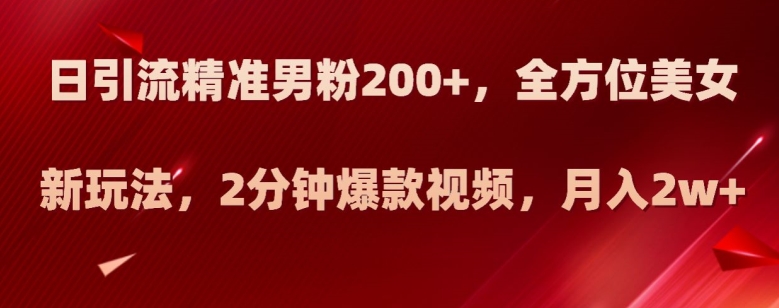 日引流精准男粉200+，全方位美女新玩法，2分钟爆款视频，月入2w+【揭秘】-久久资源库
