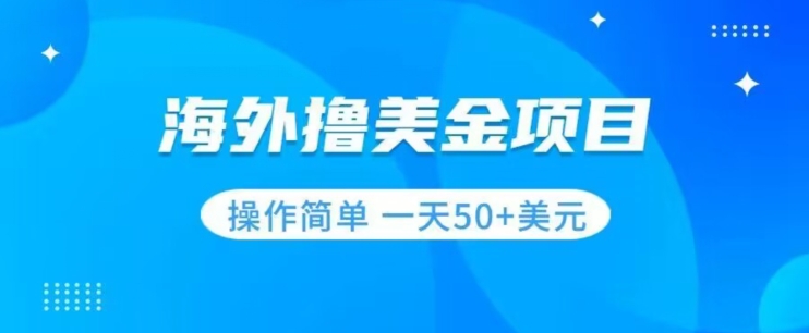 撸美金项目无门槛操作简单小白一天50+美刀-久久资源库