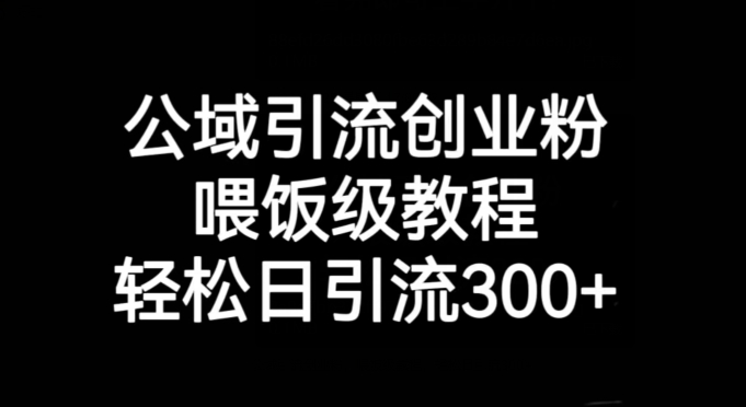 公域引流创业粉，喂饭级教程，轻松日引流300+【揭秘】-久久资源库