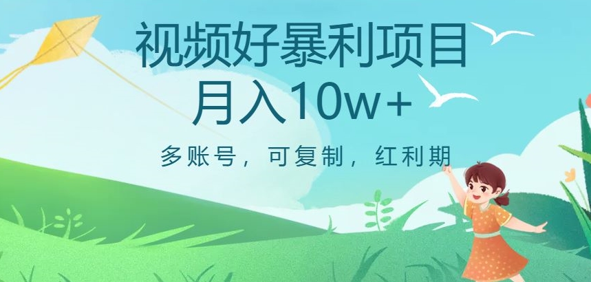 视频号暴利项目，多账号，可复制，红利期，月入10w+【揭秘】-久久资源库
