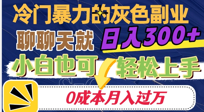冷门暴利的副业项目，聊聊天就能日入300+，0成本月入过万【揭秘】-久久资源库