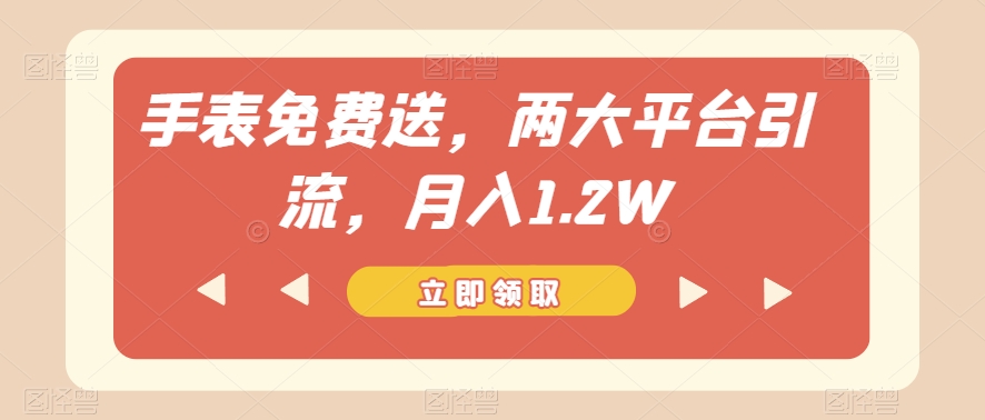 手表免费送，两大平台引流，月入1.2W【揭秘】-久久资源库
