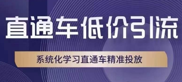 直通车低价引流课，系统化学习直通车精准投放-久久资源库