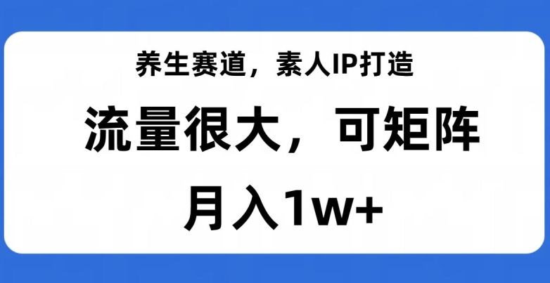 养生赛道，素人IP打造，流量很大，可矩阵，月入1w+【揭秘】-久久资源库
