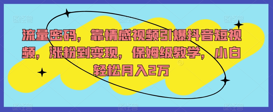 流量密码，靠情感视频引爆抖音短视频，涨粉到变现，保姆级教学，小白轻松月入2万【揭秘】-久久资源库