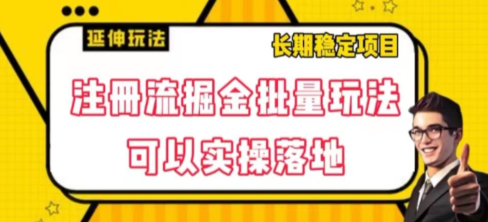 注册流掘金批量玩法，可以实操落地【揭秘】-久久资源库