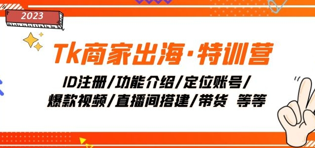 Tk商家出海·特训营：ID注册/功能介绍/定位账号/爆款视频/直播间搭建/带货-久久资源库