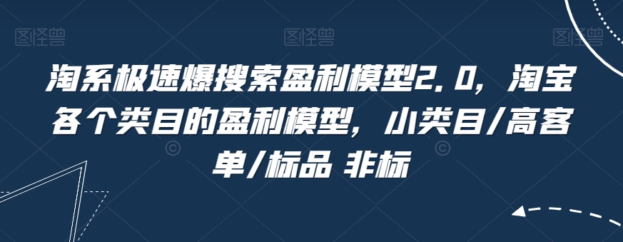 淘系极速爆搜索盈利模型2.0，淘宝各个类目的盈利模型，小类目/高客单/标品 非标-久久资源库