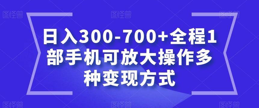 日入300-700+全程1部手机可放大操作多种变现方式【揭秘】-久久资源库