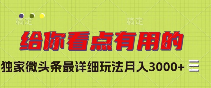 独家微头条最详细玩法，月入3000+【揭秘】-久久资源库