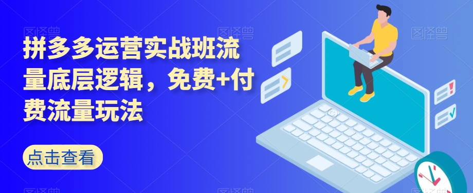 拼多多运营实战班流量底层逻辑，免费+付费流量玩法-久久资源库
