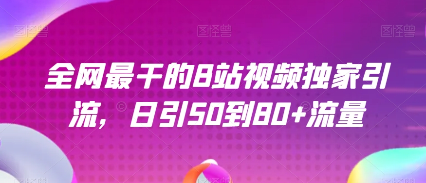 全网最干的B站视频独家引流，日引50到80+流量【揭秘】-久久资源库