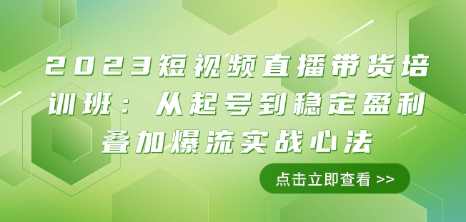 2023短视频直播带货培训班：从起号到稳定盈利叠加爆流实战心法（11节课）-久久资源库