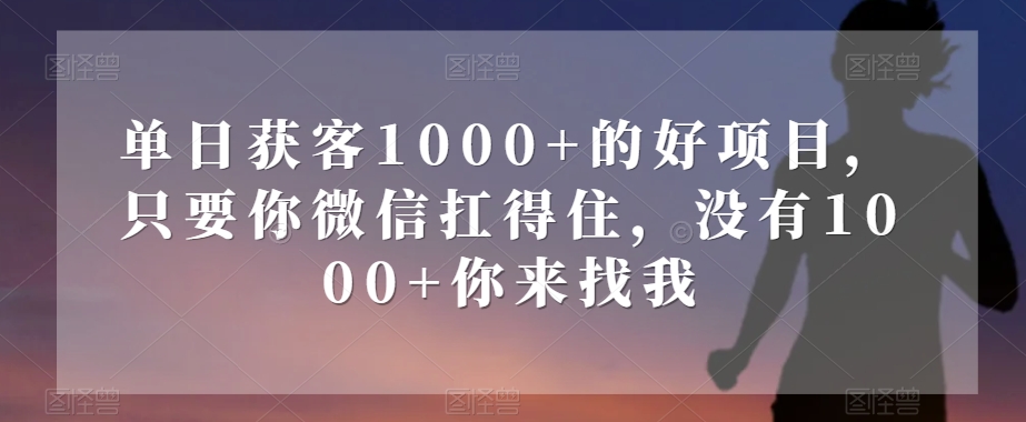 单日获客1000+的好项目，只要你微信扛得住，没有1000+你来找我【揭秘】-久久资源库