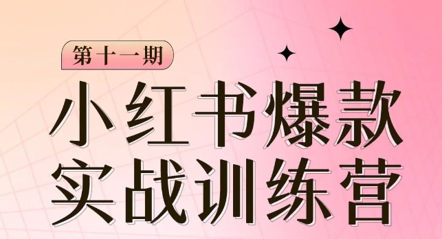小红书博主爆款训练营第11期，手把手教你从0-1做小红书，从定位到起号到变现-久久资源库