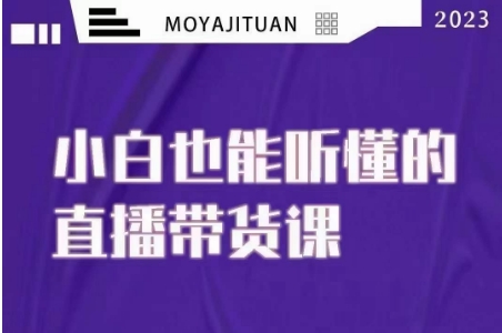 大威本威·能听懂的直播带货课，小白也能听懂，20节完整-久久资源库