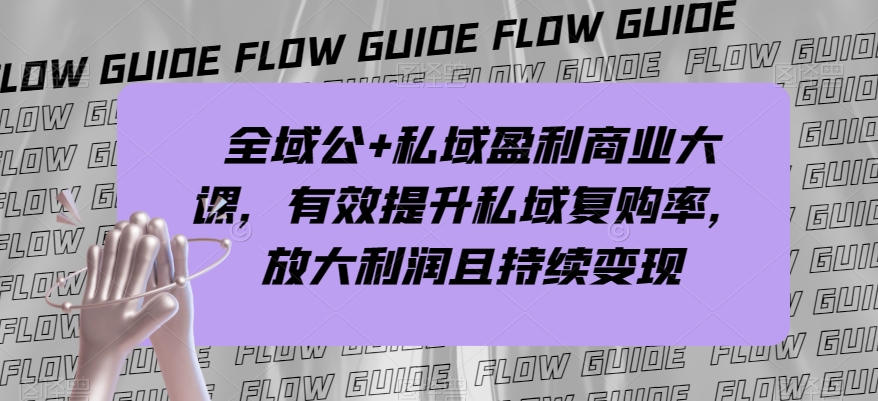 全域公+私域盈利商业大课，有效提升私域复购率，放大利润且持续变现-久久资源库