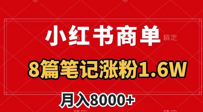 小红书商单最新玩法，8篇笔记涨粉1.6w，作品制作简单，月入8000+【揭秘】-久久资源库