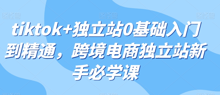 tiktok+独立站0基础入门到精通，跨境电商独立站新手必学课-久久资源库