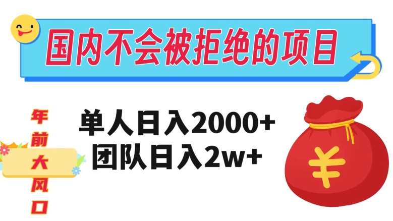 在国内不怕被拒绝的项目，单人日入2000，团队日入20000+【揭秘】-久久资源库
