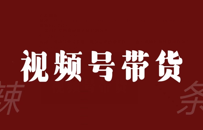 视频号带货联盟，赚信息差的带货钱，只需手机随时随地都可以做！-久久资源库