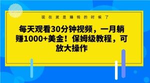 每天观看30分钟视频，一月躺赚1000+美金！保姆级教程，可放大操作【揭秘】-久久资源库
