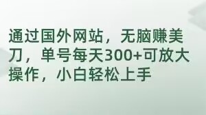 通过国外网站，无脑赚美刀，单号每天300+可放大操作，小白轻松上手【揭秘】-久久资源库