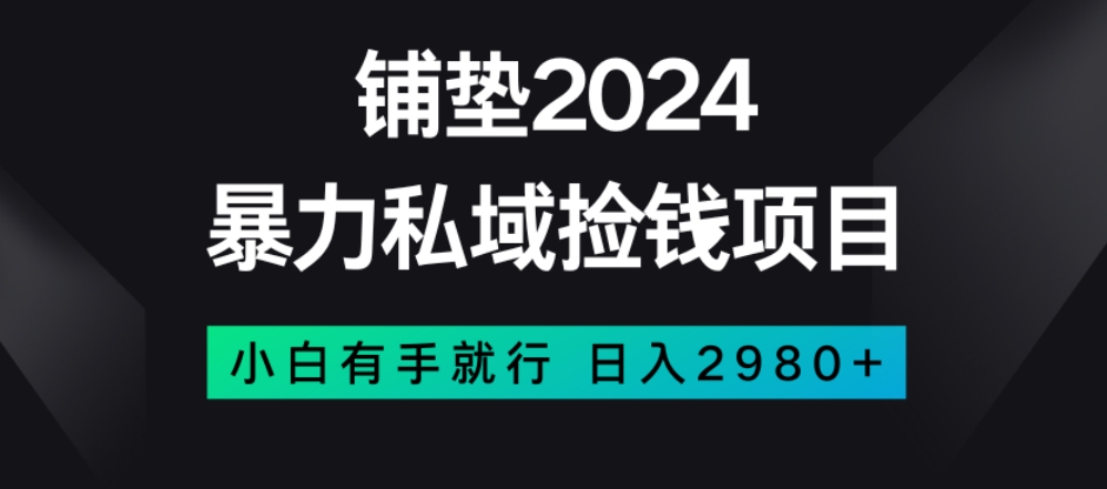 暴力私域捡钱项目，小白无脑操作，日入2980【揭秘】-久久资源库