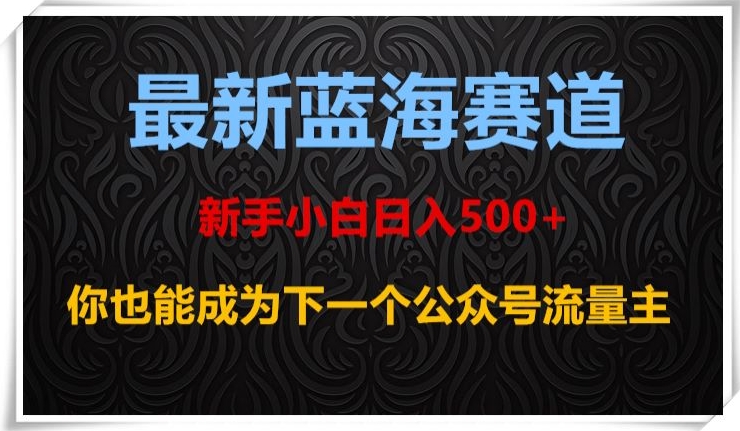 最新蓝海赛道，新手小白日入500+，你也能成为下一个公众号流量主【揭秘】-久久资源库