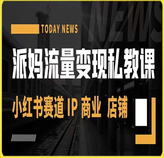 派妈流量变现私教课，小红书赛道IP  商业  店铺 -久久资源库