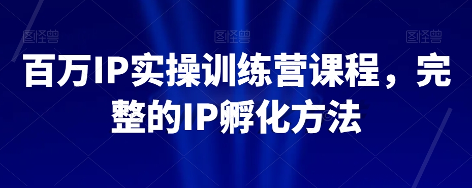 百万IP实操训练营课程，完整的IP孵化方法-久久资源库