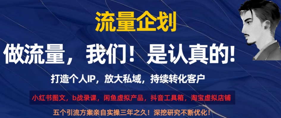 流量企划，打造个人IP，放大私域，持续转化客户【揭秘】-久久资源库