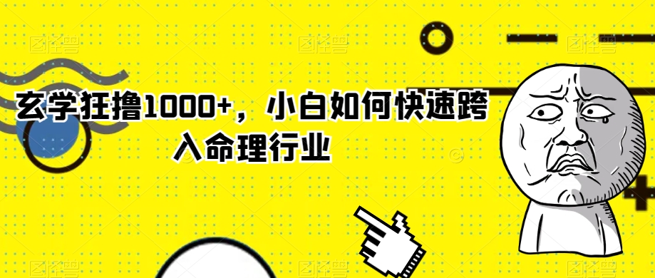 玄学狂撸1000+，小白如何快速跨入命理行业【揭秘】-久久资源库