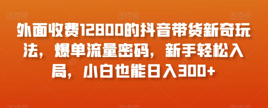 外面收费12800的抖音带货新奇玩法，爆单流量密码，新手轻松入局，小白也能日入300+【揭秘】-久久资源库