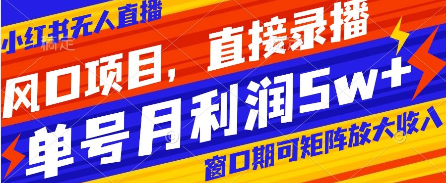 风口项目，小红书无人直播带货，直接录播，可矩阵，月入5w+【揭秘】-久久资源库