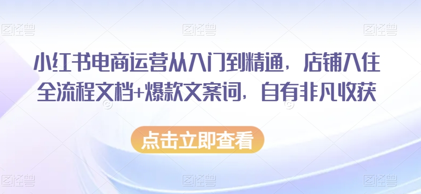 小红书电商运营从入门到精通，店铺入住全流程文档+爆款文案词，自有非凡收获-久久资源库