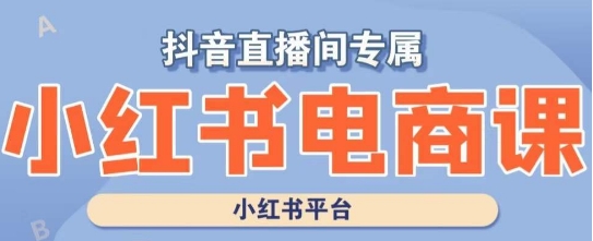 小红书电商高级运营课程，实操教学+案例分析-久久资源库
