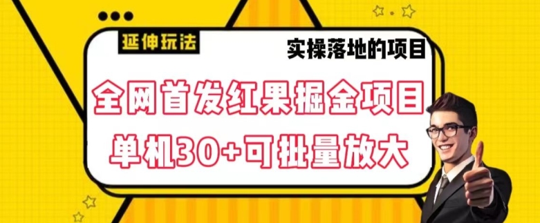 全网首发红果免费短剧掘金项目，单机30+可批量放大【揭秘】-久久资源库