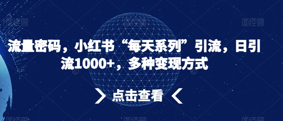 流量密码，小红书“每天系列”引流，日引流1000+，多种变现方式【揭秘】-久久资源库