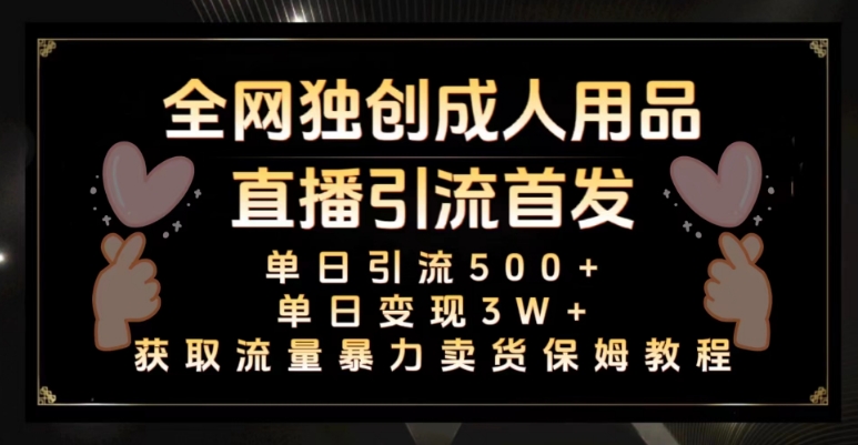 全网独创真人主播+无人直播单日引流500+，橙人用品暴力卖货单日变现3W+保姆似教学2.0【揭秘】-久久资源库