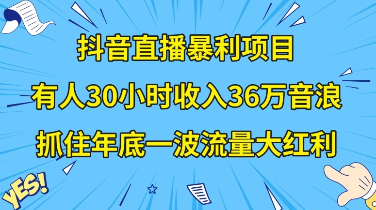 抖音直播暴利项目，有人30小时收入36万音浪，公司宣传片年会视频制作，抓住年底一波流量大红利【揭秘】-久久资源库