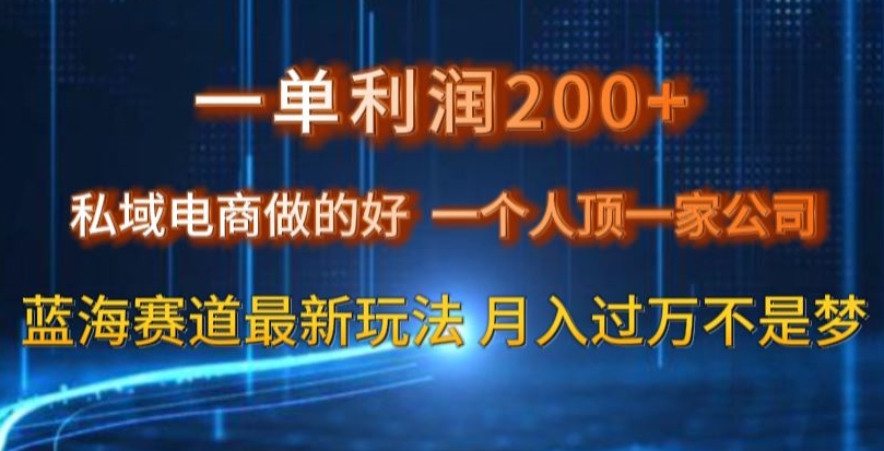 一单利润200私域电商做的好，一个人顶一家公司蓝海赛道最新玩法【揭秘】-久久资源库