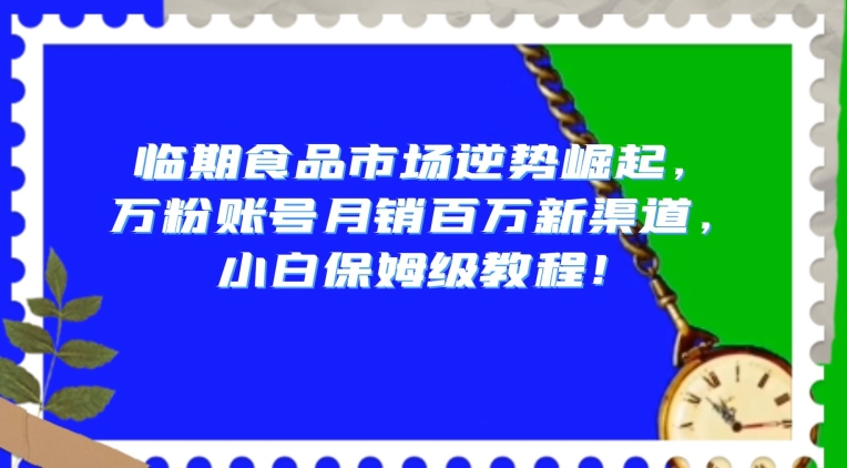 临期食品市场逆势崛起，万粉账号月销百万新渠道，小白保姆级教程【揭秘】-久久资源库