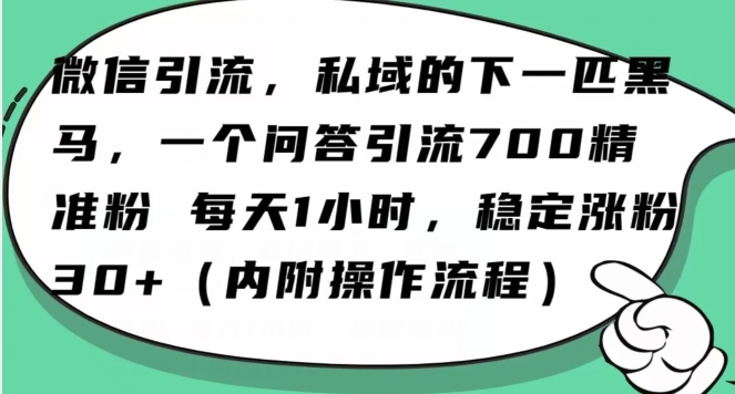 怎么搞精准创业粉？微信新赛道，每天一小时，利用Ai一个问答日引100精准粉-久久资源库